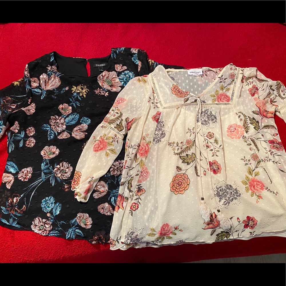 Two blouses from Dressbarn/Ross & Ali